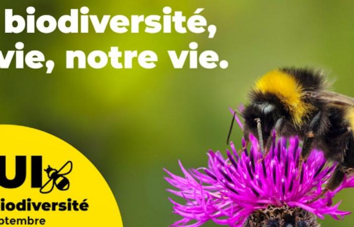 Votación sobre la biodiversidad: queja inusual de una mujer de Zurich