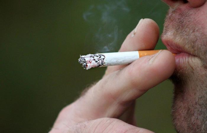 Tabaco: ¿hacia un aumento del precio del paquete de cigarrillos en 2025? – 29/11/2024 a las 16:43