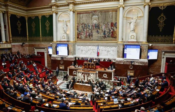 Debate sobre las pensiones en Francia | Incidente entre diputados en la Asamblea Nacional