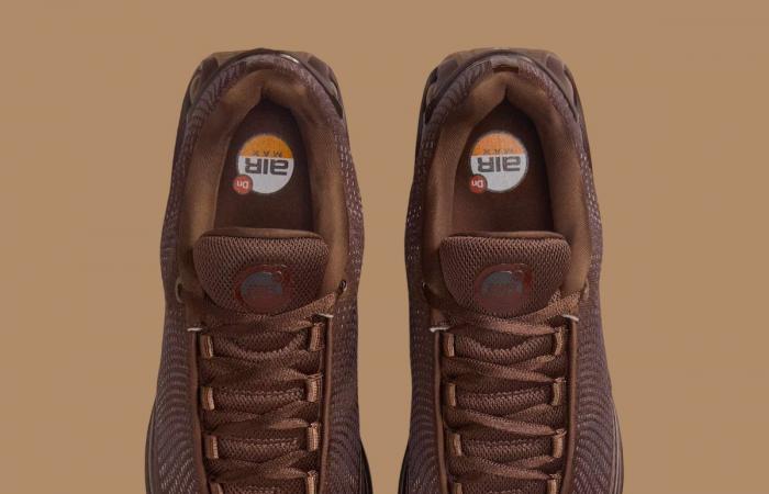 Nike Air Max Dn Chocolate claro HQ3837-200