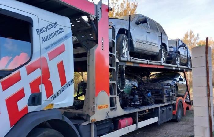 Desmantelado un desguace ilegal de coches en una zona agrícola en Thor