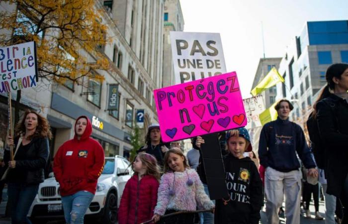 Violencia doméstica en Quebec: debemos poder detectar “banderas rojas”, insiste un comité