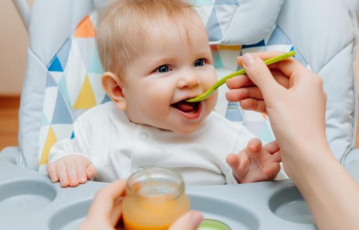 Atención ! Este producto para bebés Blédina está siendo objeto de una retirada nacional porque puede resultar peligroso para la salud.