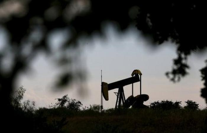 El petróleo cae, debilitado por las incertidumbres en torno a la OPEP+