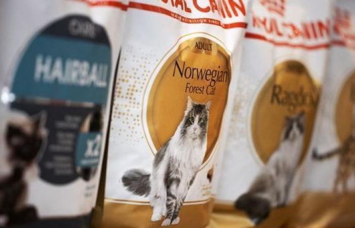 A pesar de la explosión del mercado de alimentación para perros y gatos, Royal Canin recortará puestos de trabajo en su fábrica de Aimargues en Gard