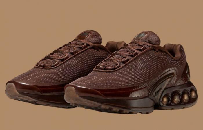 Nike Air Max Dn Chocolate claro HQ3837-200