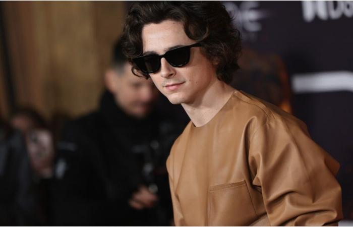 Timothée Chalamet dijo que “no tienes el cuerpo adecuado” para una película de acción