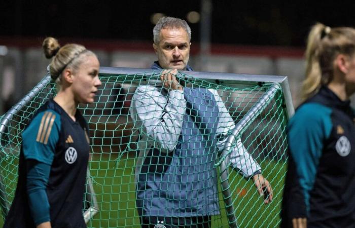 Pruebe la Eurocopa: las mujeres de la DFB en Suiza | NDR.de – Deportes