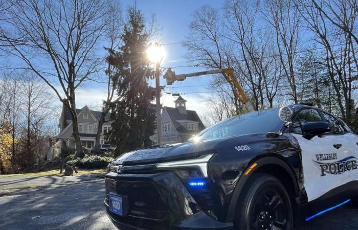 Electrocutado mientras colgaba adornos navideños: un hombre está al borde de la muerte