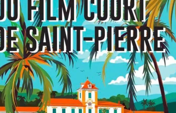 Reunión: Más de cincuenta cortometrajes internacionales proyectados en la 9ª edición del festival de cortometrajes de Saint-Pierre