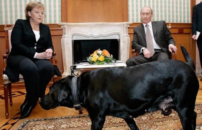 17 años después, Putin recuerda el momento en que asustó a Merkel con su perro