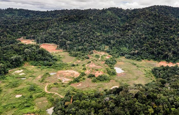 La protección del medio ambiente se impuso en el proyecto minero industrial Montagne d’Or en Guyana