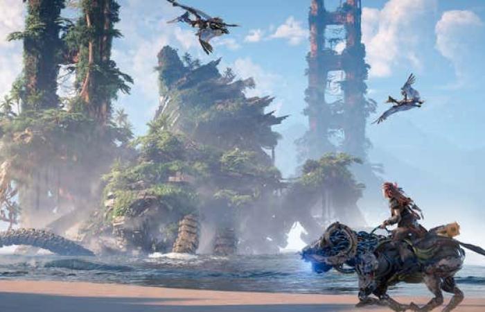 Esta copia de Horizon Zero Dawn solo le ruega a Sony que presente una demanda