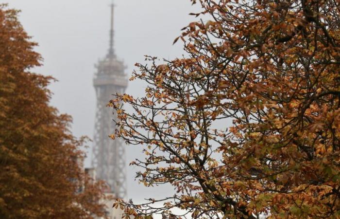 Sol, temperaturas frescas en el noreste, altas en otros lugares: el tiempo del fin de semana en Francia