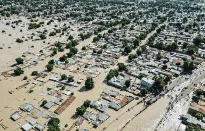 Se necesitan fondos para estudiar el impacto del cambio climático en la salud, advierten investigadores europeos