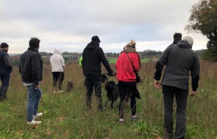 una cacería en progreso para encontrarla