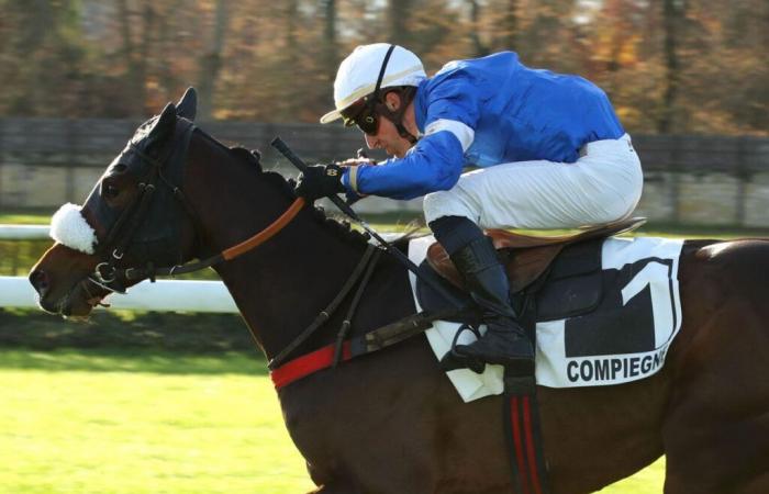 Cœur d’Amour como potro de clase en el Prix Général de Saint-Didier