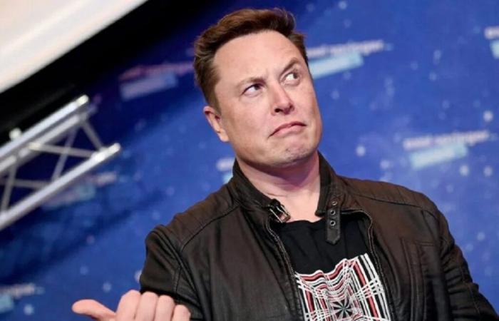 Elon Musk lanza su estudio de videojuegos para abordar el “wokismo”