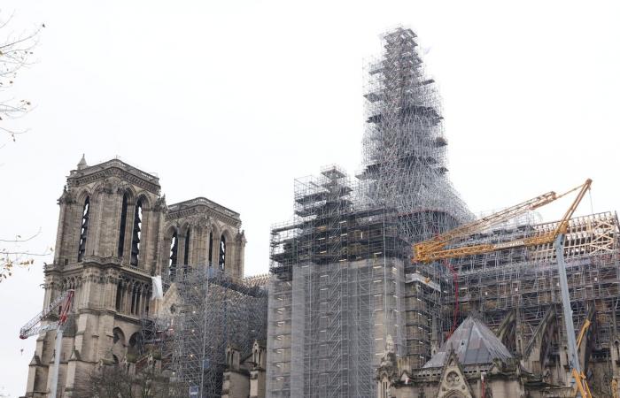 Cinco años después del incendio, Notre-Dame volverá a abrir sus puertas al público: ¡una mirada retrospectiva a las locas figuras de una obra extraordinaria!