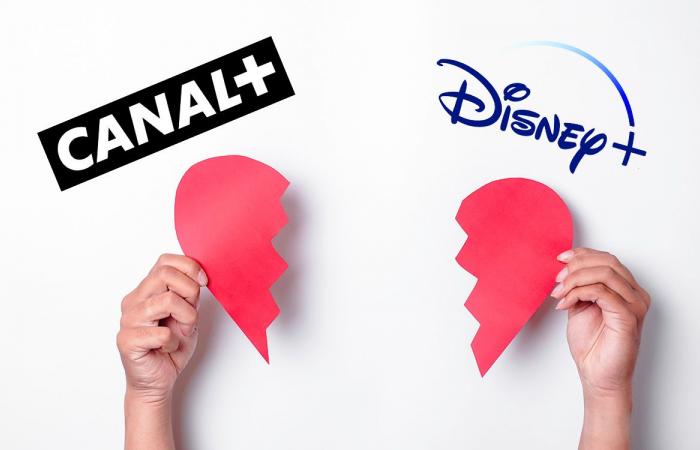 Los suscriptores de Canal+ pueden decir adiós a Disney+ y a un montón de canales de televisión