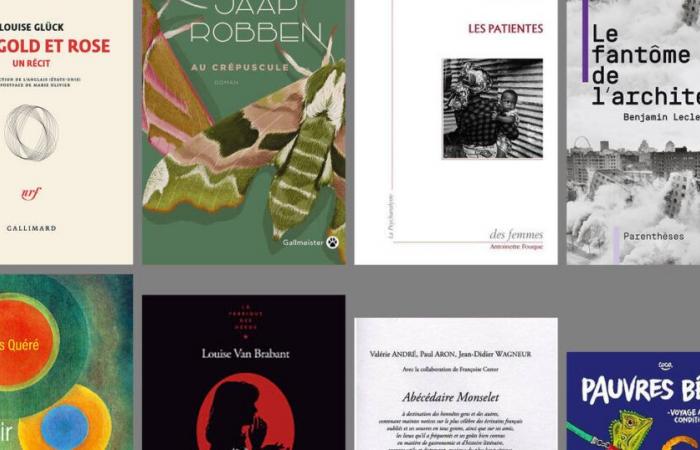 Louise Glück, Sarah Stern, Jaap Robben, Coco… – Liberación