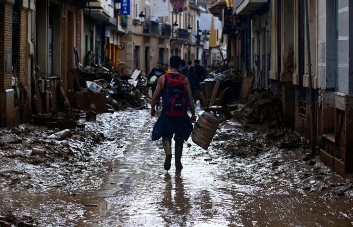 ¿Qué es la “licencia climática remunerada” aprobada por el gobierno?