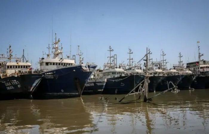 Pesca ilegal en Senegal: la ministra Fatou Diouf asegura que se están realizando esfuerzos para mejorar la trazabilidad y la transparencia – VivAfrik