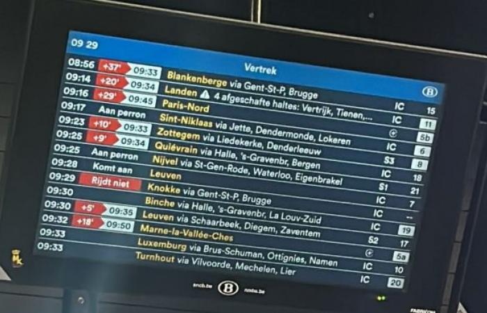 Retrasos y cancelaciones: la red SNCB interrumpida este viernes por la mañana