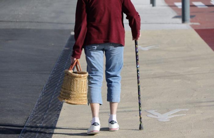 Gard. Una anciana agredida violentamente en la calle: se buscaba al autor