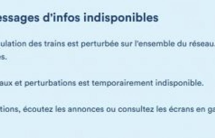 Retrasos y cancelaciones, la red SNCB interrumpida en todo el país: “Aconsejamos a los viajeros que estén atentos”