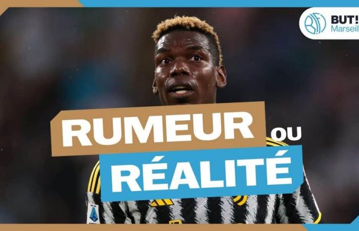 OM Mercato: Paul Pogba, ¿rumor o realidad?