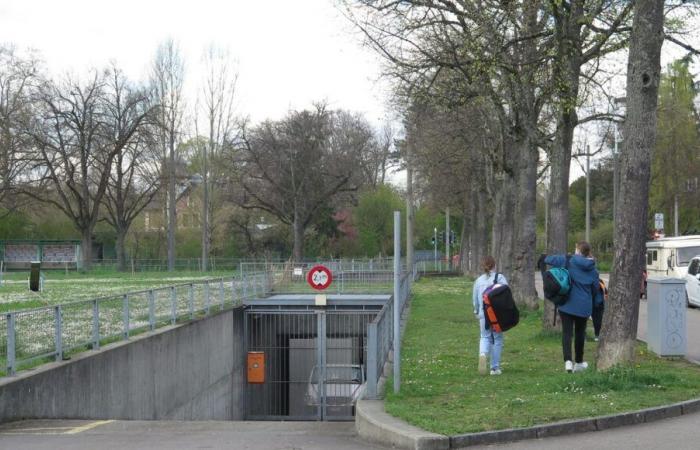 Guerra en Ucrania: en Alemania, individuos llamados a crear refugios en casa ante las amenazas rusas