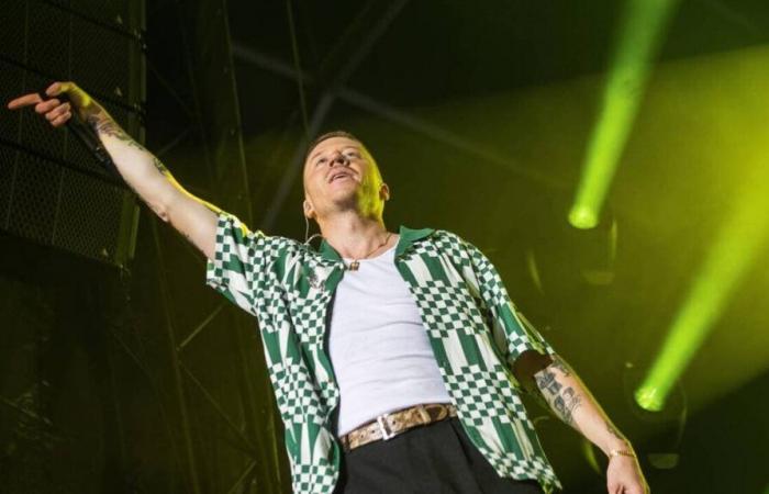 Sex Pistols, Macklemore, Damso… Aquí están los primeros artistas programados para Vieilles Charrues 2025