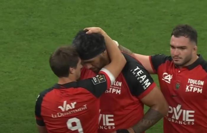 El Stade Toulousain gana en Créteil, La Rochelle aplasta al recién ascendido, nuestras predicciones para la 11.ª jornada del Top 14