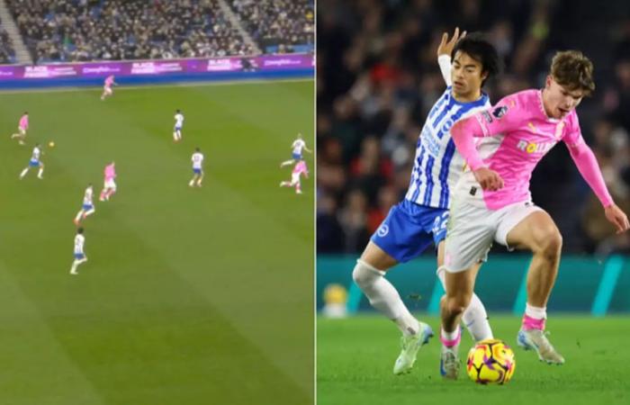 Los fanáticos de la Premier League están todos de acuerdo después de ver Brighton vs Southampton – Noticias de futbol