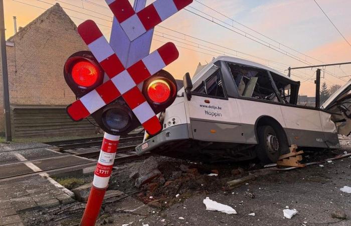 Las imágenes muestran cómo un autobús de De Lijn es embestido por un tren: “Veinte niños a bordo, el conductor ha evitado una catástrofe” (Zedelgem)