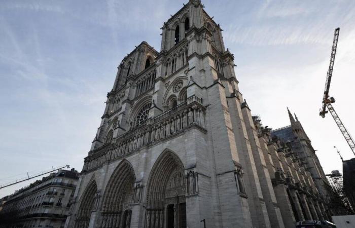 Emmanuel Macron presenta su revelación visual de Notre-Dame