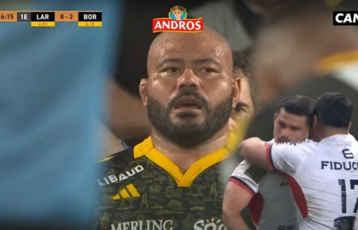 El Stade Toulousain gana en Créteil, La Rochelle aplasta al recién ascendido, nuestras predicciones para la 11.ª jornada del Top 14