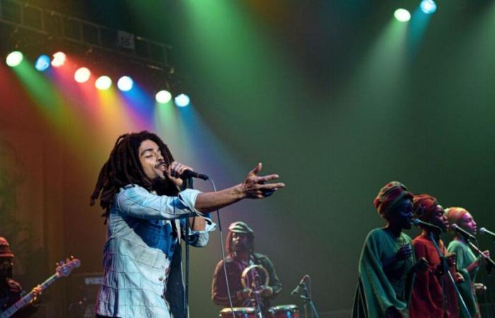 ¿Quiénes son los hijos de Bob Marley y qué pasó con ellos?