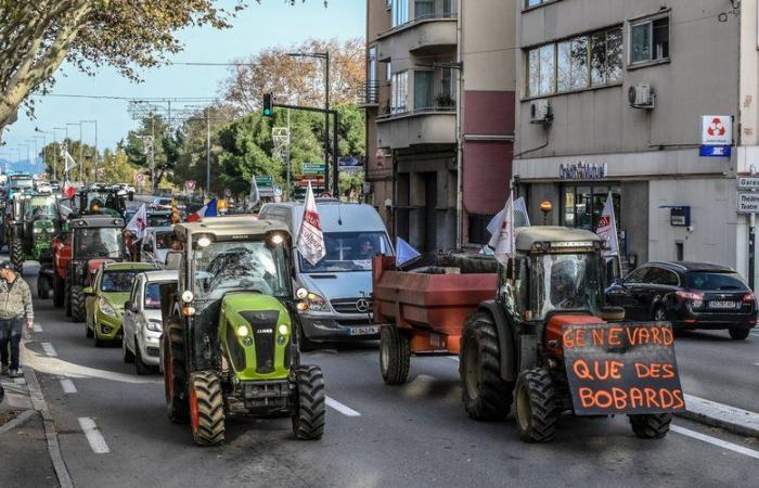 Ira de los agricultores: los tractores pronto volverán a las calles, la FNSEA convoca a nuevas movilizaciones los días 9 y 10 de diciembre “en todas partes de Francia”