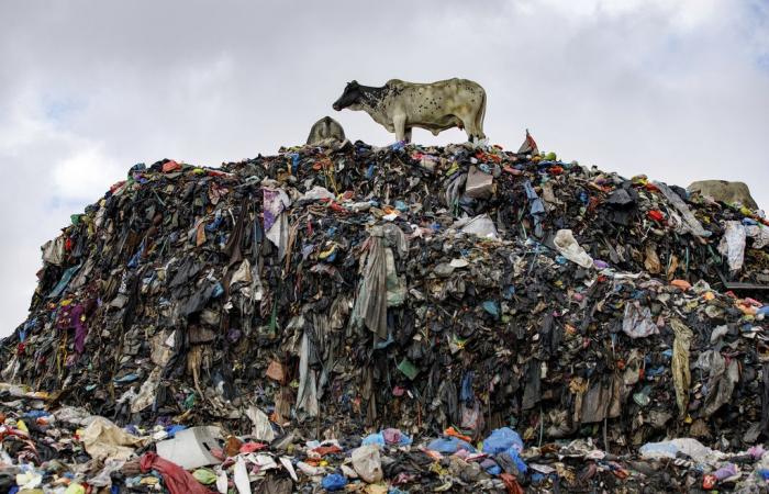 La mayor parte de la ropa enviada para reciclaje textil termina en África: informe