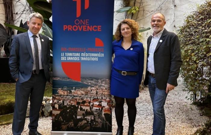 Qué primera valoración para One Provence, agencia de marketing territorial