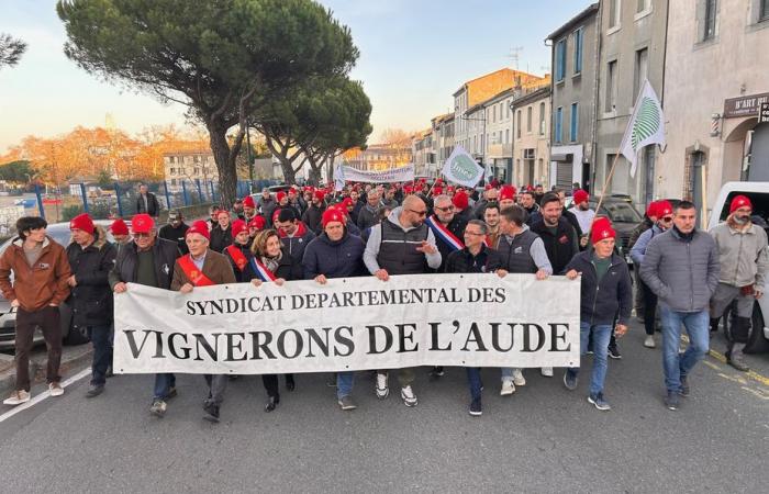 “No a la muerte de la viticultura sureña”, se manifestaron unas 2.500 personas