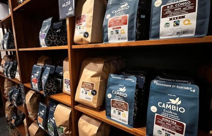 Aumento del precio del café: las empresas intentarán compensar parte de los costos