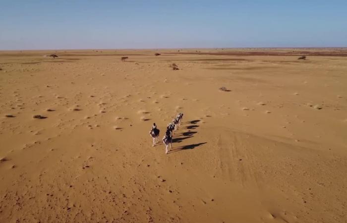 RETRATO. De Bretaña al Sahara, Odette du Puigaudeau, una aventurera poco conocida