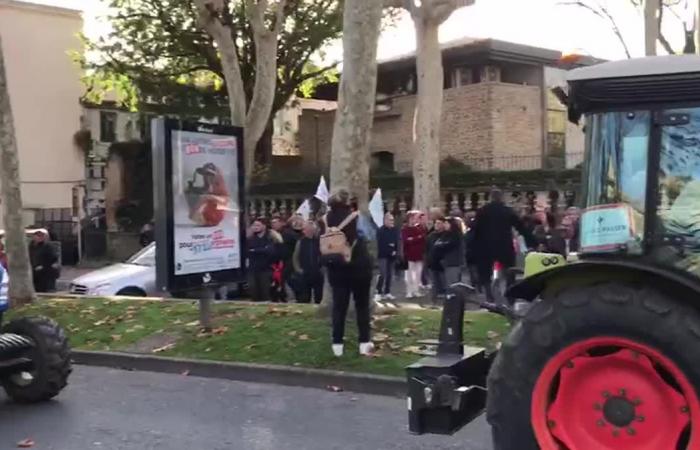 “No a la muerte de la viticultura sureña”, se manifestaron unas 2.500 personas