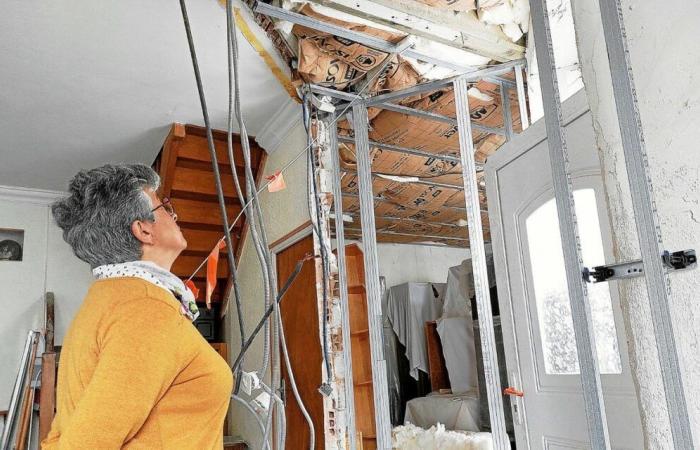 “Me preguntaba si deberíamos demoler la casa”: la podredumbre seca gana terreno en Bretaña