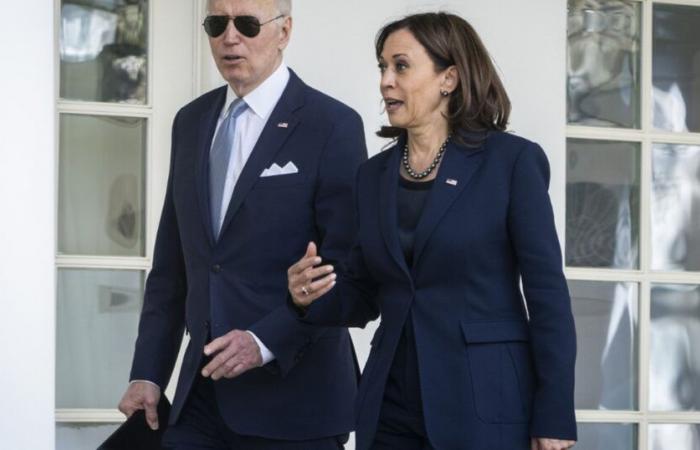 vicepresidenta estadounidense kamala harris: Los demócratas están enojados con Kamala Harris y la critican por no escuchar a los votantes y por falta de autorreflexión tras la derrota electoral