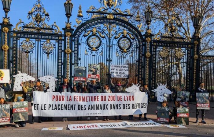 16 asociaciones se manifiestan por el cierre del zoológico del parque Tête d’Or