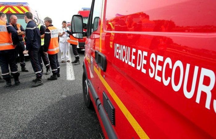 El desfile de Navidad se convierte en una pesadilla: la caída de una carroza deja 13 heridos en Trouville-sur-Mer